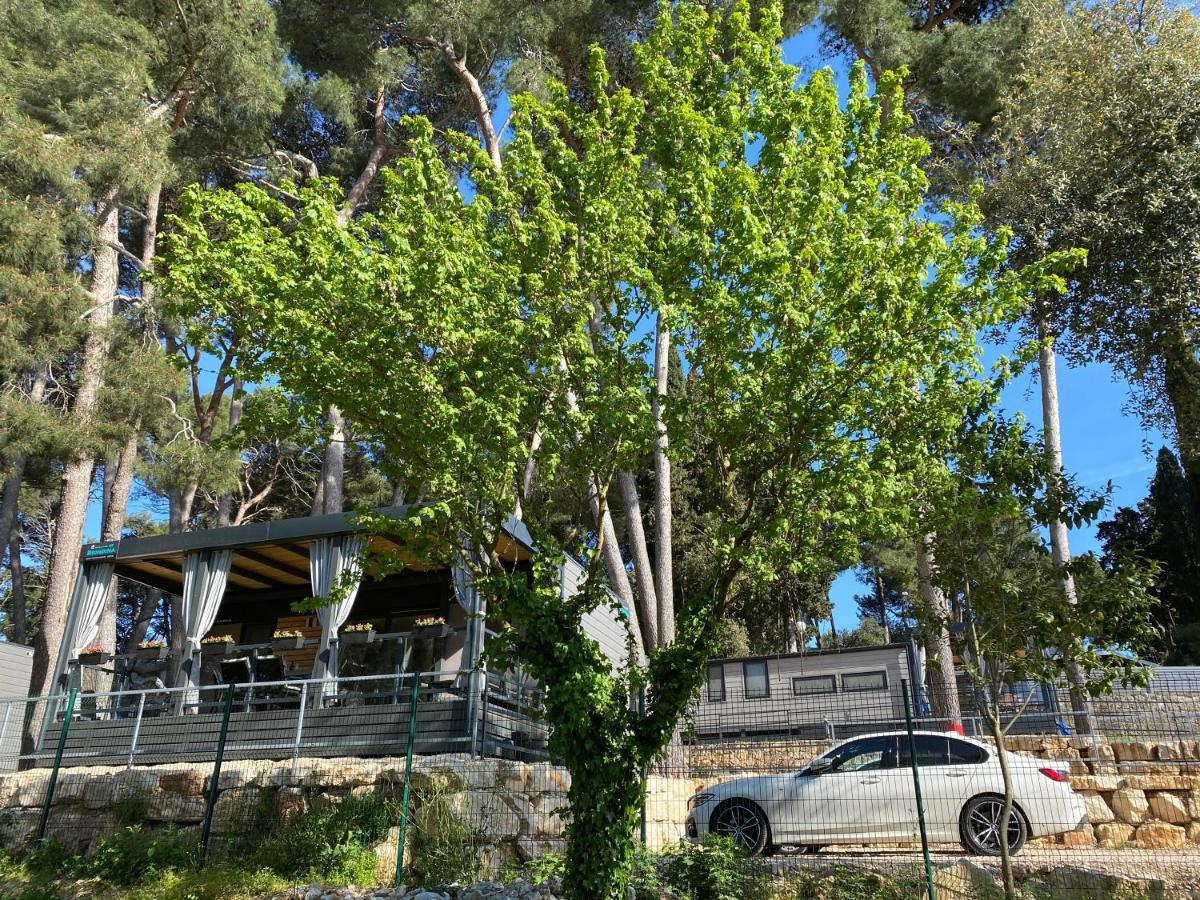 Mobile Home Biondina Camp Porton Nature Hideouts Rovinj Exteriör bild