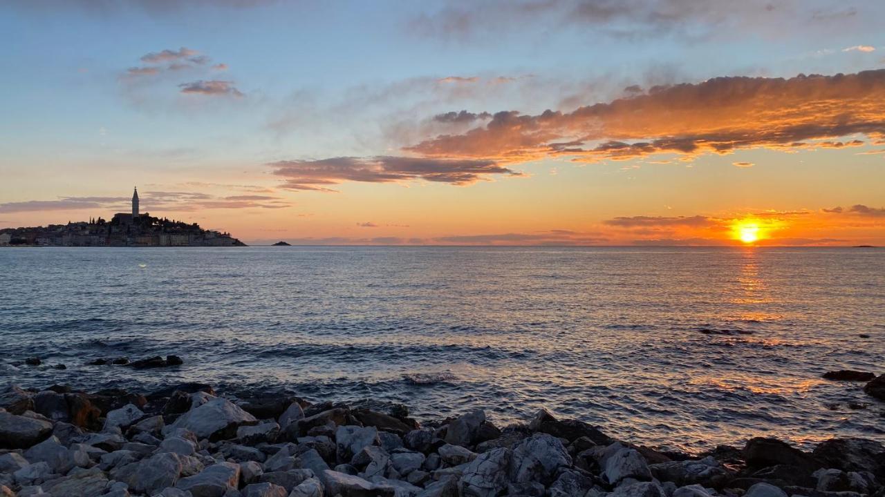 Mobile Home Biondina Camp Porton Nature Hideouts Rovinj Exteriör bild